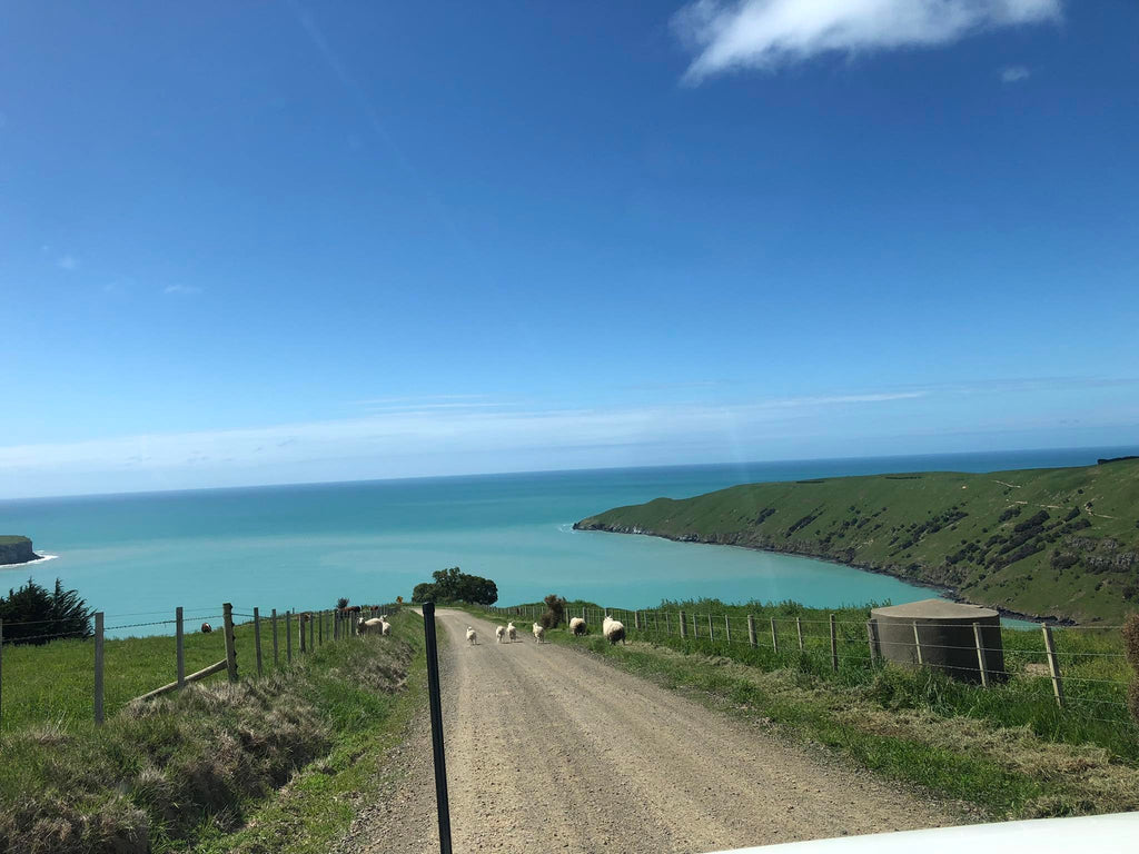 Banks Peninsular 4wd tracks